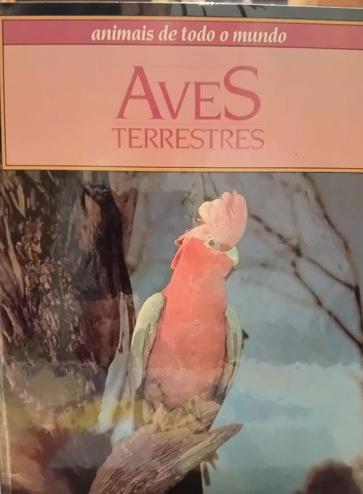 Animais de todo o mundo