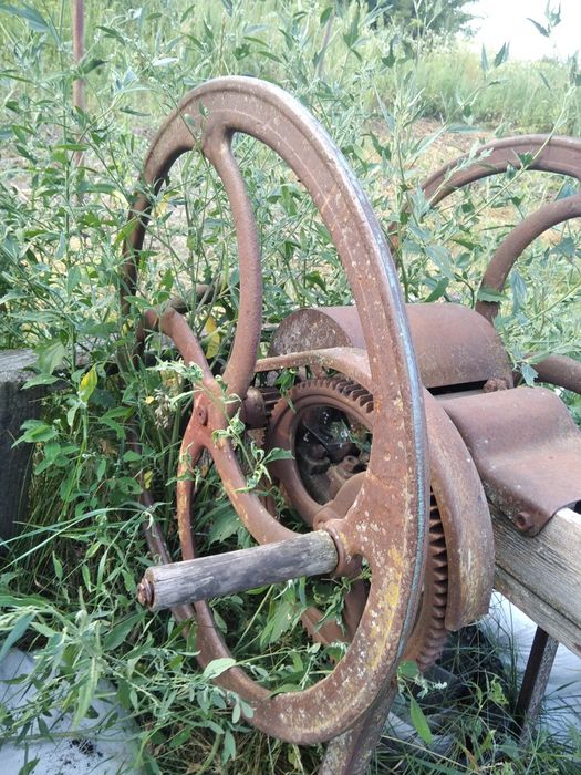 Січкарка, січкарня для кукурудзи