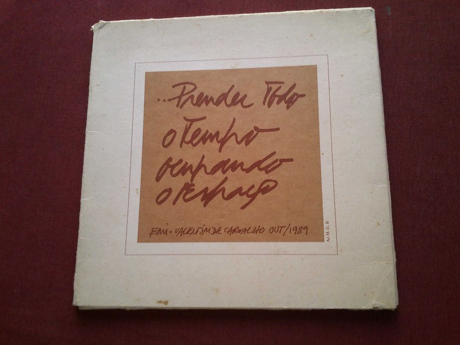 Manuel Vicente-Prender Todo o Tempo Ocupando o Espaço-1989