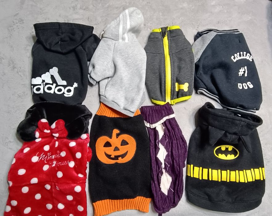 Одежда для собак, одяг для собак