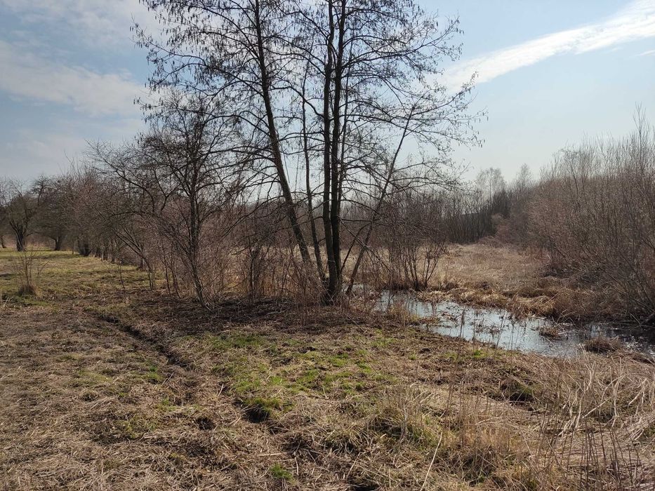 Масив земельних ділянок під ОСГ площею 16 га с. Старе