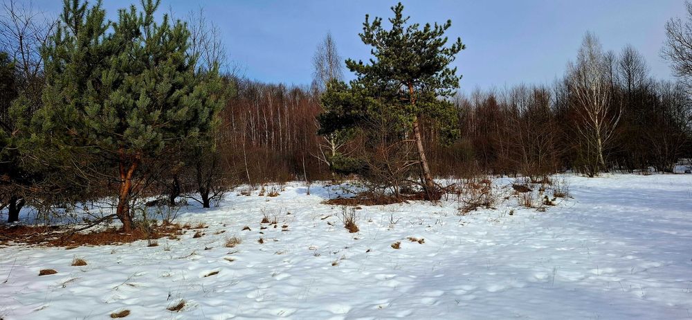 Działka rolno-budowlana 8000 m 55 km od Warszawy