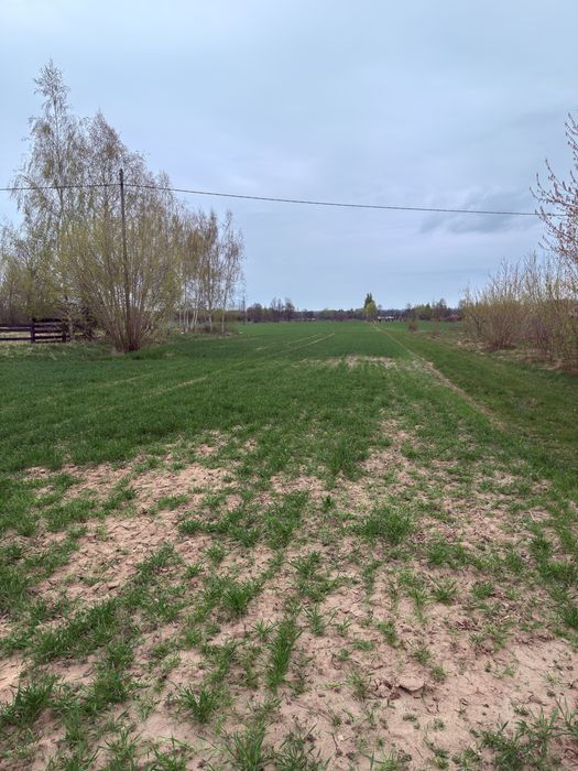 Działki 1000, 1000 oraz 1500 m2