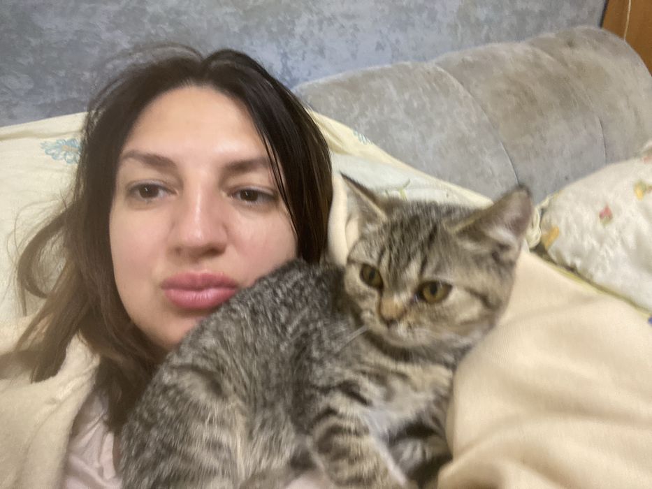 Кішечка Агуті і мишей не буде!