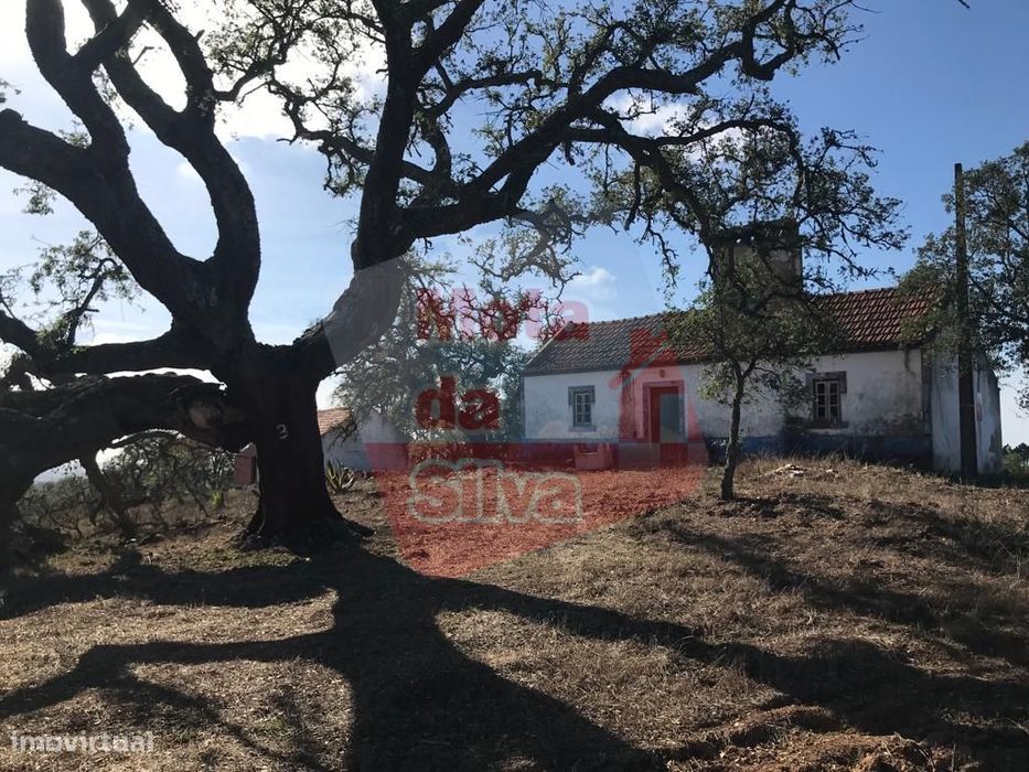 Quinta com habitação em São Francisco da Serra