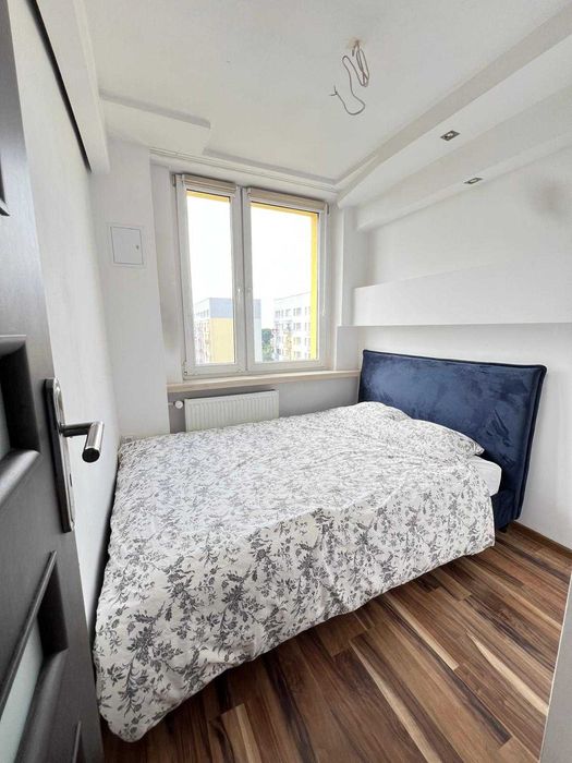 Wynajem, mieszkanie Bytom Miechowice Felińskiego 41