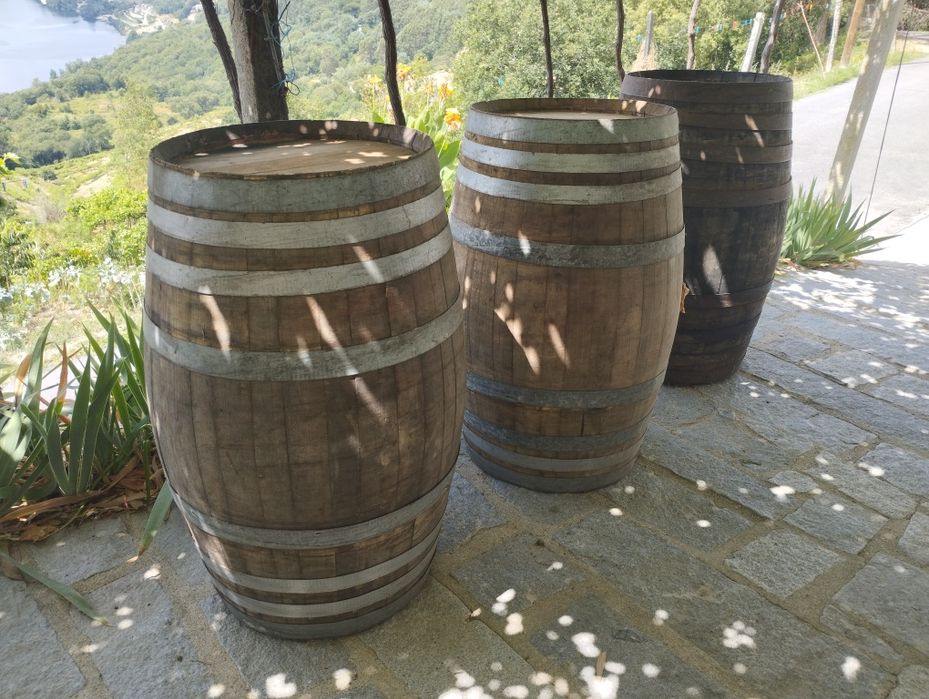 Pipas em Madeira de Castanho (250L)