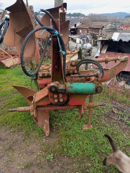 Charrua informações nas fotos