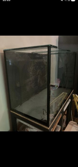 Vendo Aquario (Vidro 10mm)