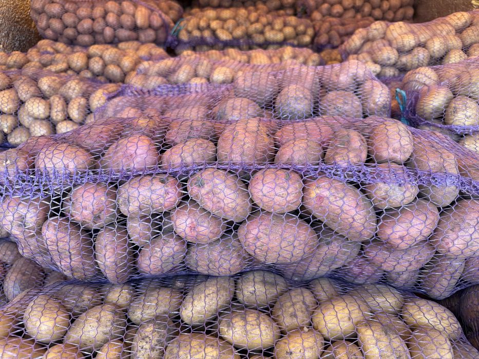 Продам картошку с суммах