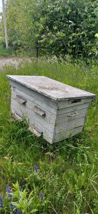 Продам вулики без бджіл