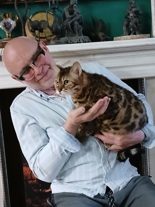 Передержка кошек и собак
