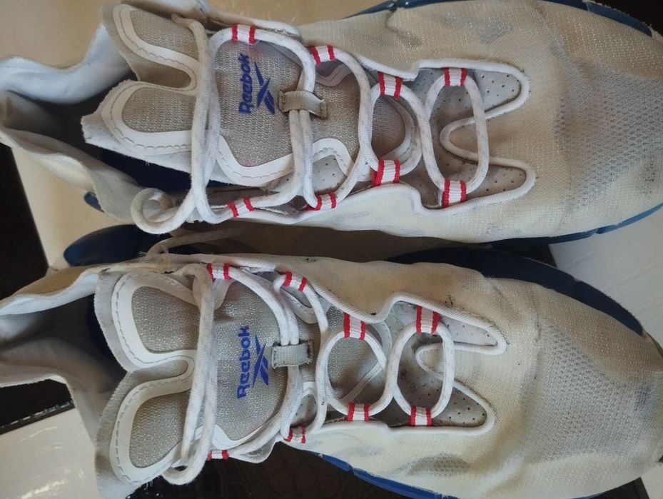 Кросівки Reebok Zig