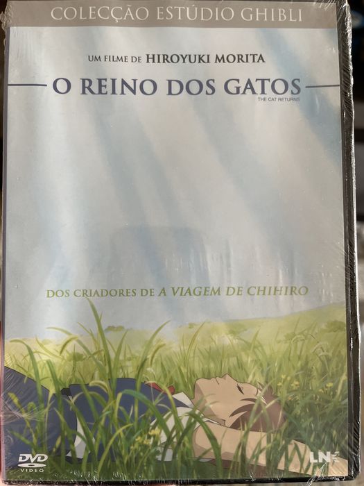 O Reino Dos Gatos - DVD