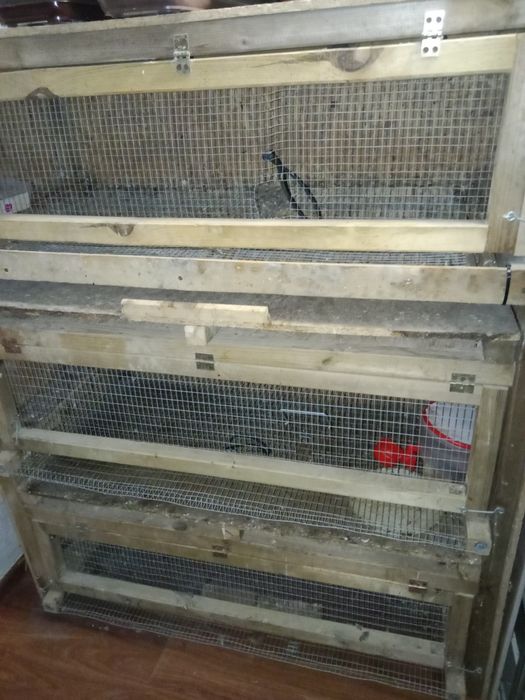 Klatka dla przepiórek 3 piętrowa