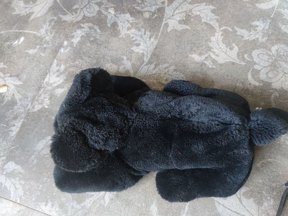 Czarna pantera leżąca