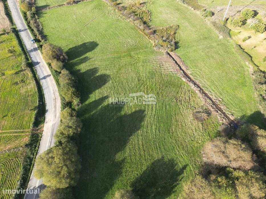 Terreno Agrícola 2hectares Bragança