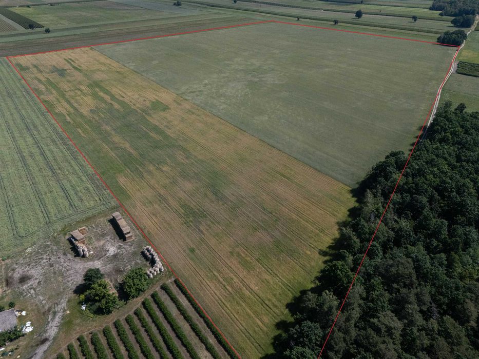 Grunty rolne - kompleks 26.41 ha - Widok 2