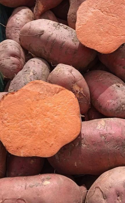 Batata doce laranja lugar da estrada