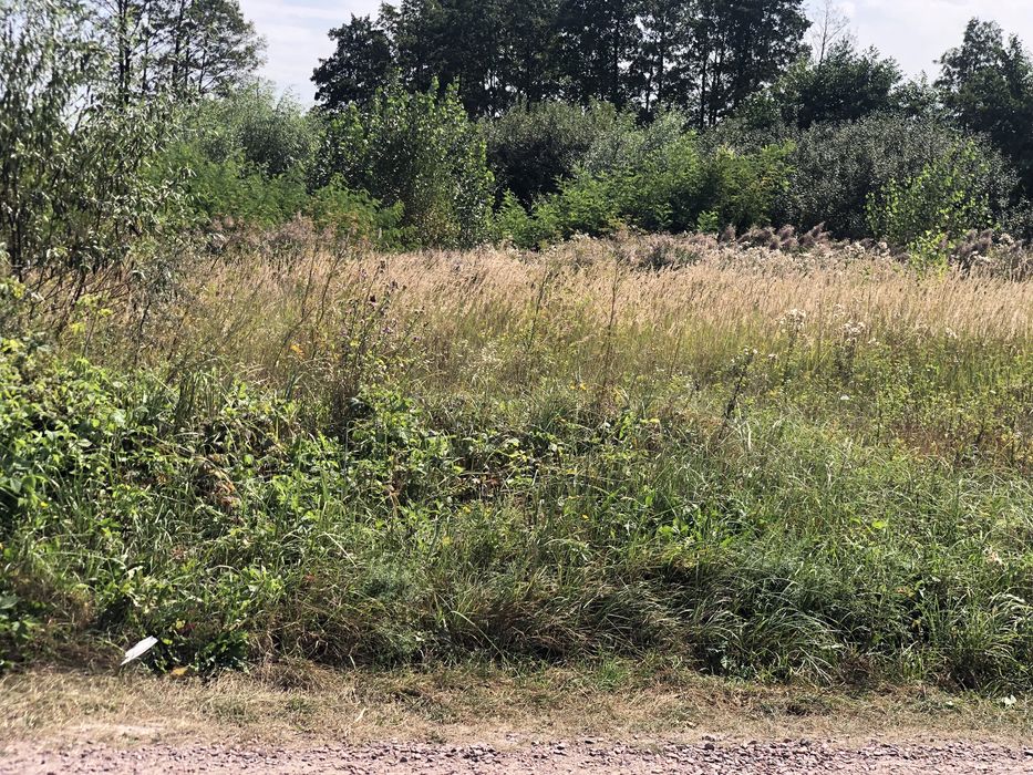 Пр зем 20с Зазимье село свет газ соседи интер природа соседи идеальный