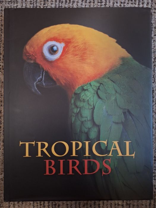 Książka Tropical Birds