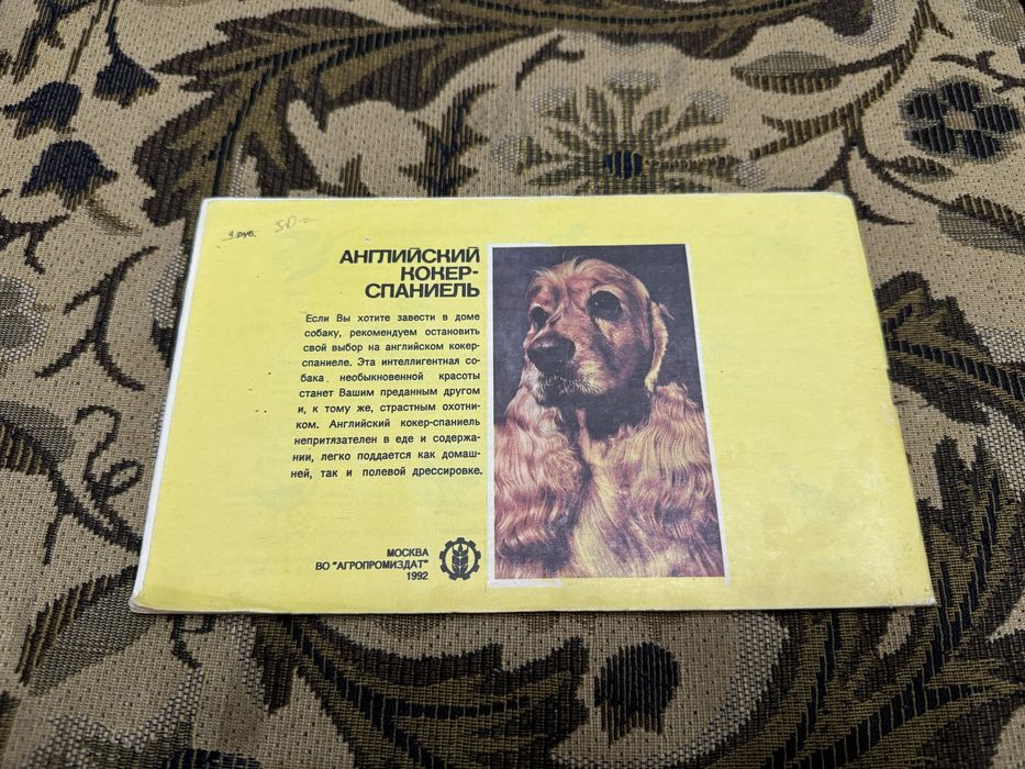 Английский кокер-спаниель Пасик 1992