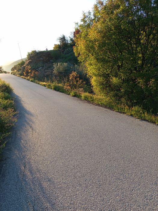 Vendo um terreno junto o Douro