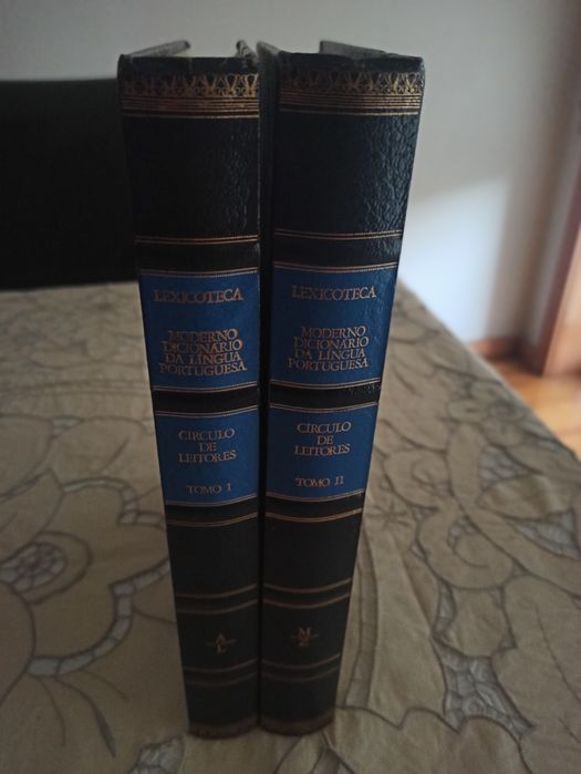 Dicionário de  lingua portuguesa