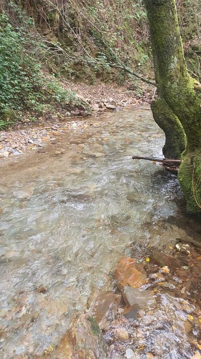 Quinta com ribeira, vistas para a serra – Monte Redondo