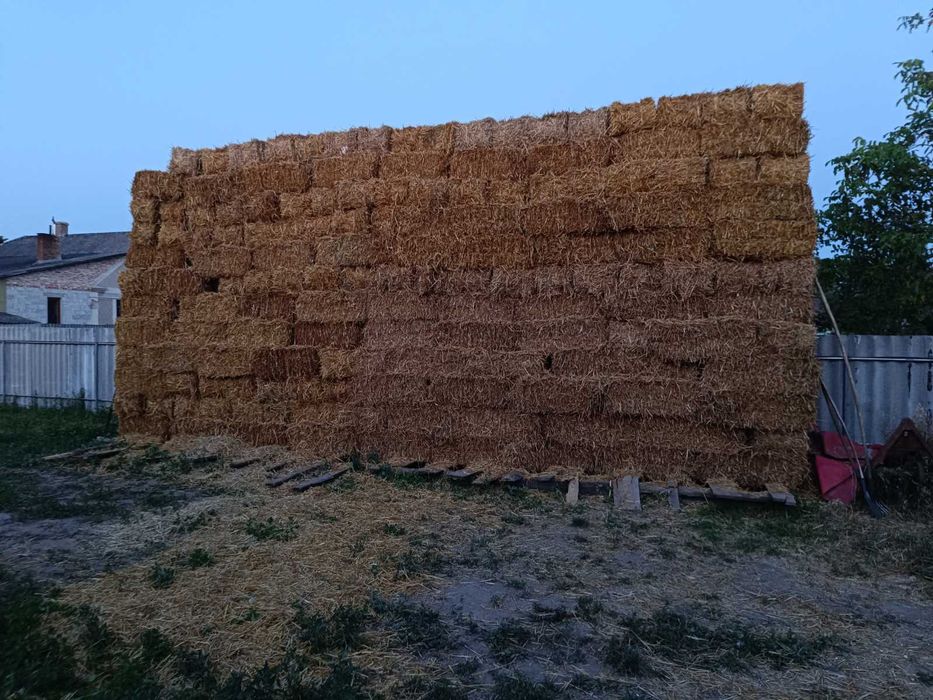 Продам тюки соломи