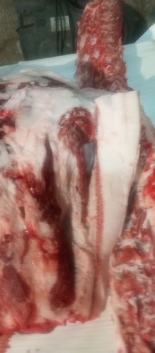 Продав свеней живою вагою ,туші півтуші