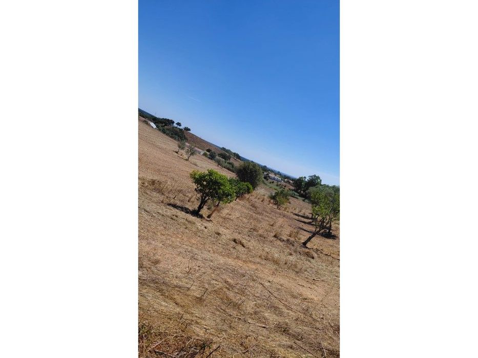 Monte Alentejano para recuperar.