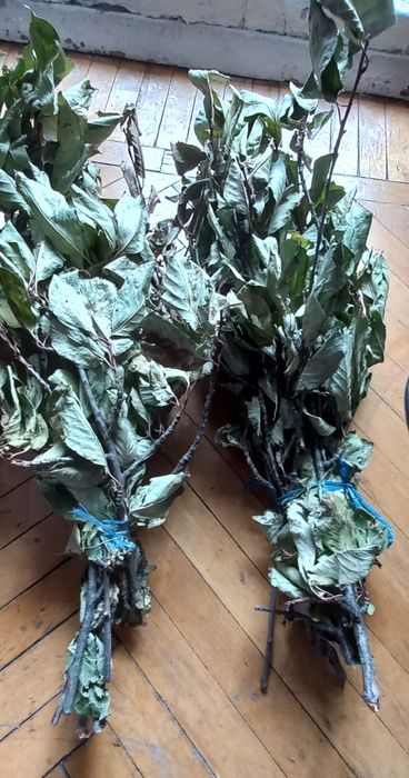 Веник из вишнёвого дерева