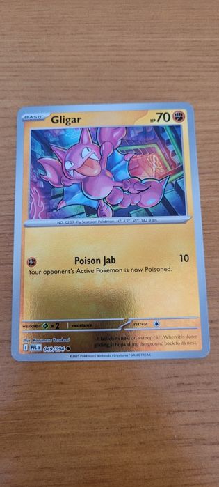 Conjunto de cartas pokemon ( contêm holos)