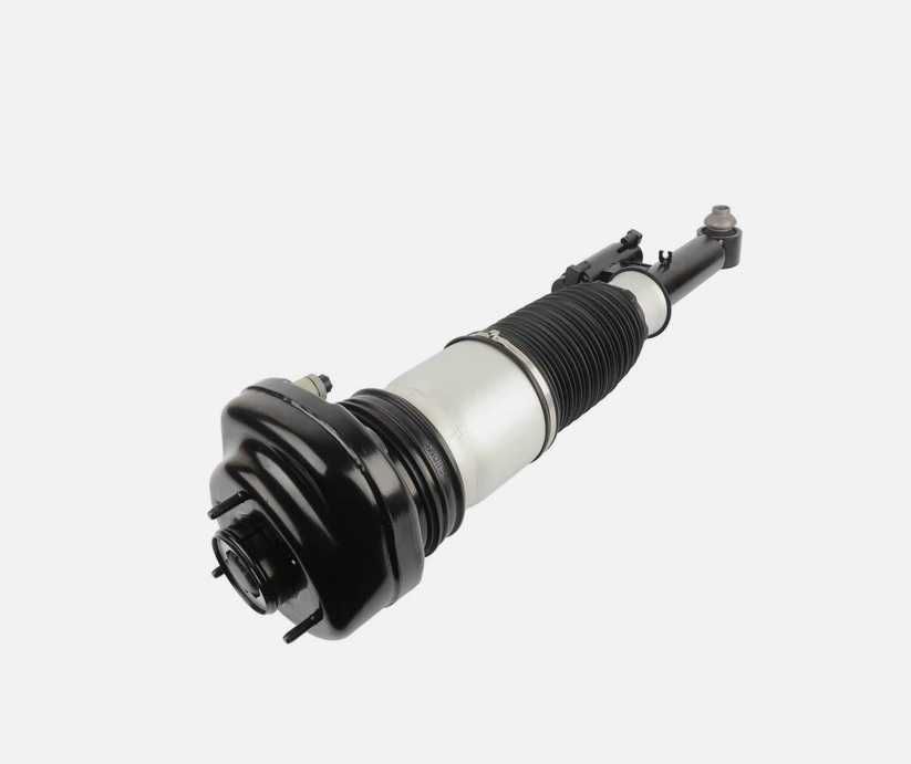 BMW Série 7 G11 Serie 7 G12 Amortecedor Pneumático Traseiro Xdrive