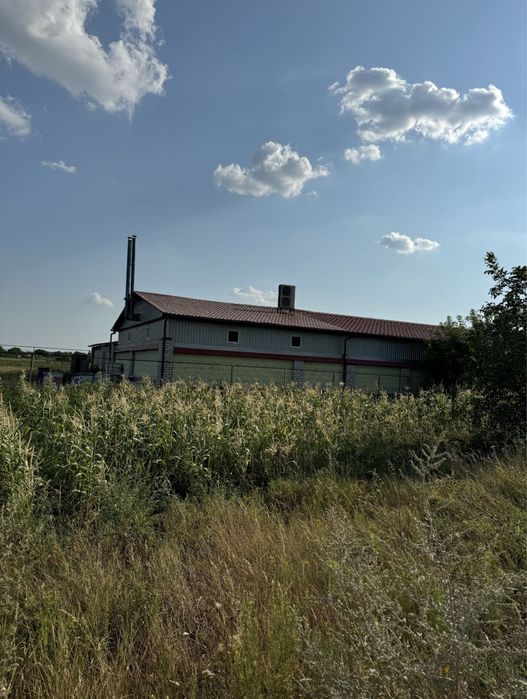 Продам помещение под бизнес