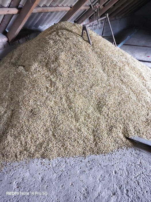 Sprzedam owies ok.2ton