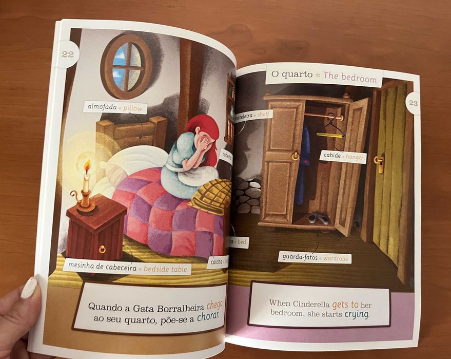 Livros / Dicionários Ilustrados de Inglês
