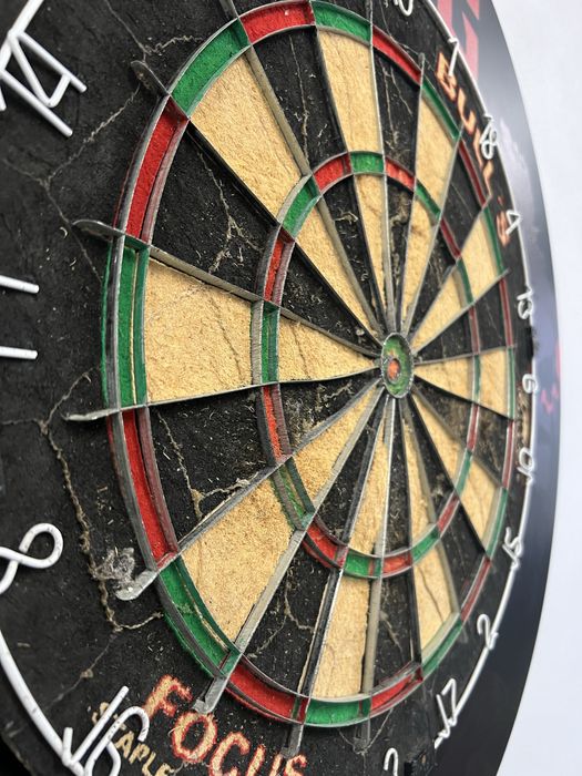 Tarcza dart sizalowa Bulls focus