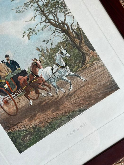Quadros de cavalos com lindas gravuras