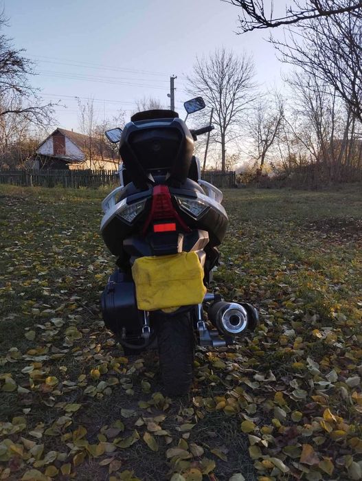 Leader ML 300maxi 2019