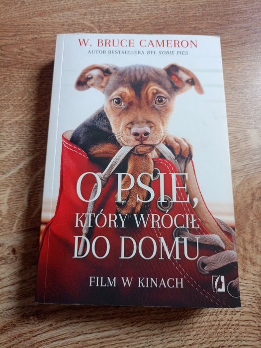 O psie który wrócił do domu