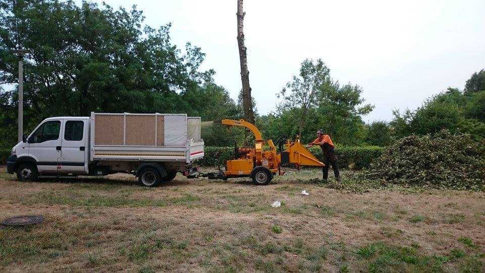 Wycinka drzew Tarnowskie Góry pielęgnacja drzew