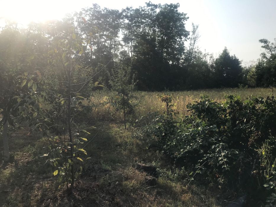 Продам приватизовану земельну ділянку