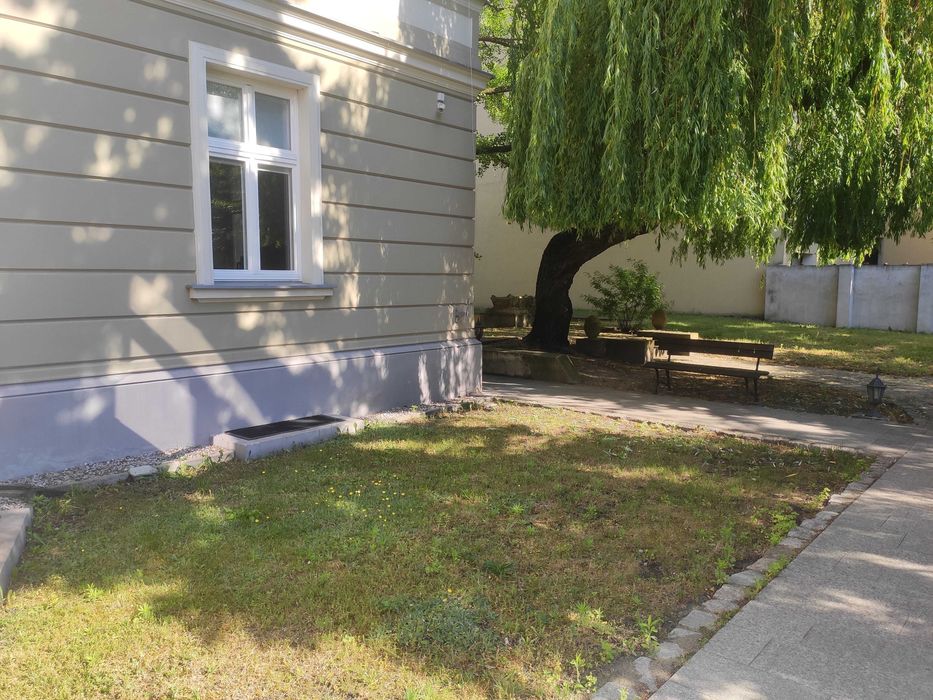 Zdjęcie 5