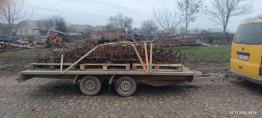 Борона зубова   .