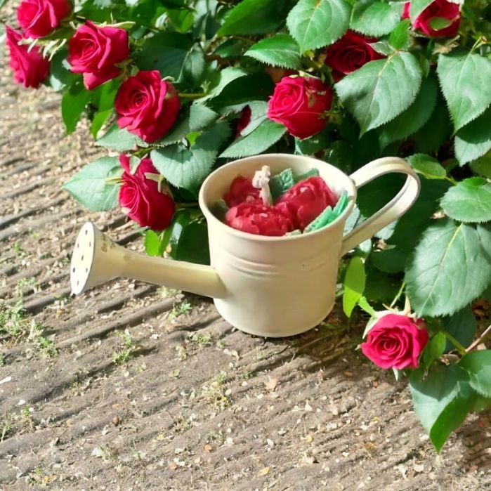 Vela Original de Soja