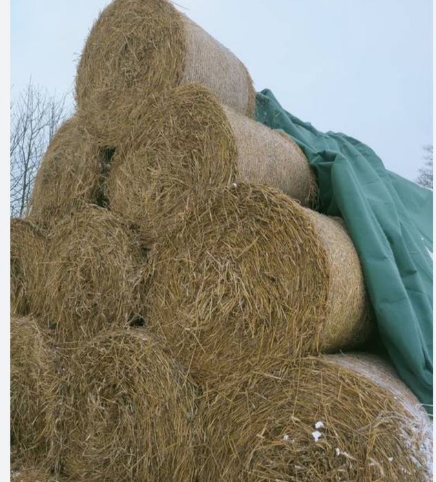 Słoma w belach spod flizeliny