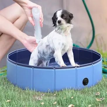 Piscina Pequenas para Cães