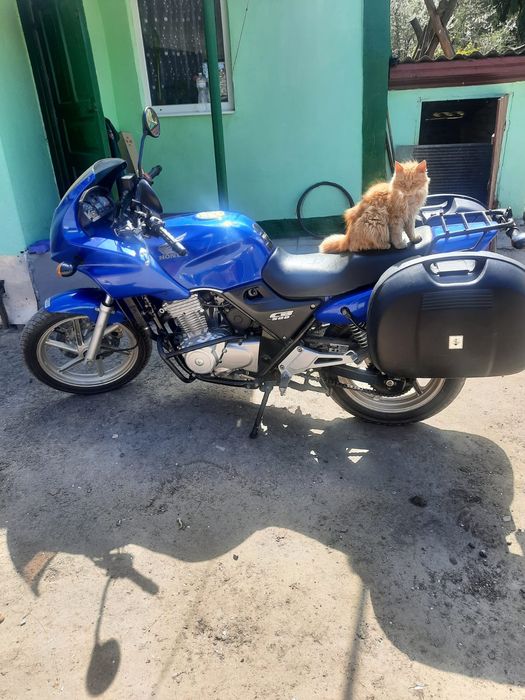 ПРОДАМ Хонда СВ-500s